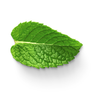 Spicy Mint