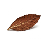 Tobacco Leaf