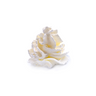 Whipped Cream