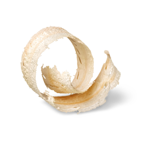 White Cedar Extract