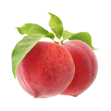White Peach