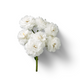 White Flowers