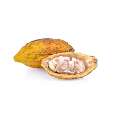 Cacao