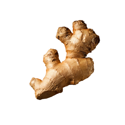 Ginger