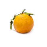 Tangerine