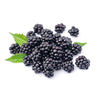 Wild Berries
